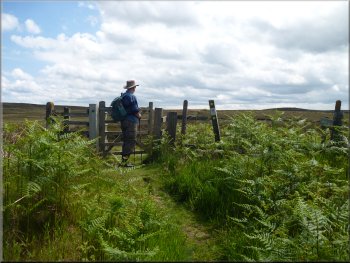 Gate on to the open moor